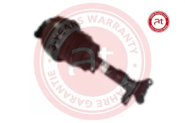 Luftfederbein Vorderachse rechts at autoteile germany at12577