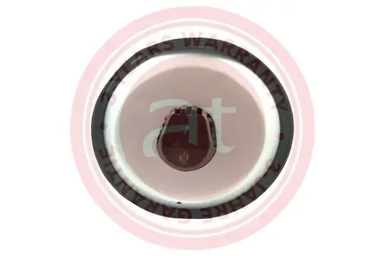 Luftfeder, Fahrwerk Hinterachse links at autoteile germany at12878 Bild Luftfeder, Fahrwerk Hinterachse links at autoteile germany at12878