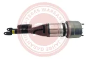 Luftfederbein Vorderachse links at autoteile germany at13314