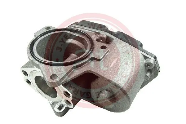 AGR-Ventil 12 V at autoteile germany at20988