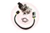 AGR-Ventil 12 V at autoteile germany at21000