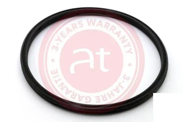 Dichtring, Ladeluftschlauch at autoteile germany at23806