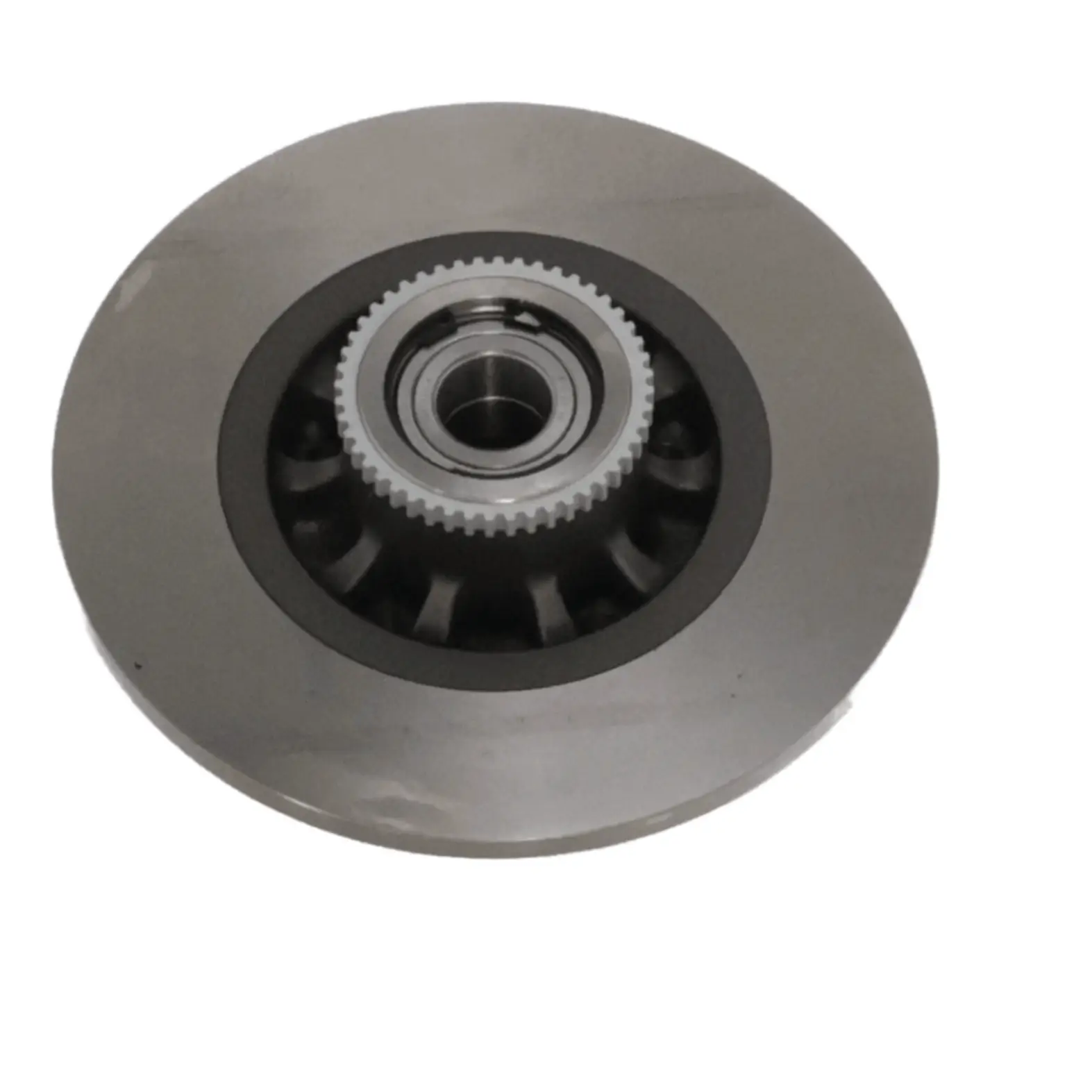 Bremsscheibe hinten MOTRIO 8660003914