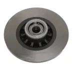 Bremsscheibe hinten MOTRIO 8660003914