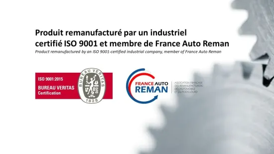 Einspritzdüse LRPI 504795 Bild Einspritzdüse LRPI 504795