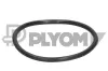 Dichtung, Thermostat PLYOM P952036