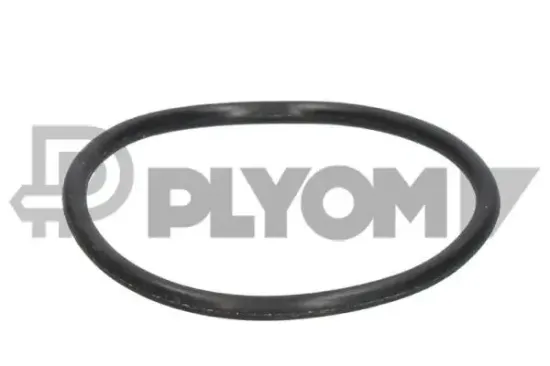 Dichtung, Thermostat PLYOM P952036 Bild Dichtung, Thermostat PLYOM P952036