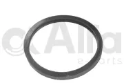 Dichtung, Thermostat Alfa e-Parts AF10613