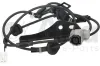 Sensor, Raddrehzahl Hinterachse rechts Alfa e-Parts AF00854
