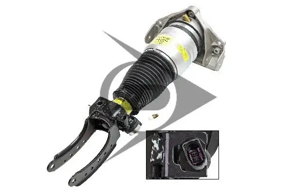 Luftfeder, Fahrwerk Vorderachse links Dunlop Airsuspension 71065