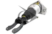 Luftfeder, Fahrwerk Vorderachse rechts Dunlop Airsuspension 71068