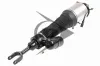 Luftfederbein Vorderachse rechts Dunlop Airsuspension 71073