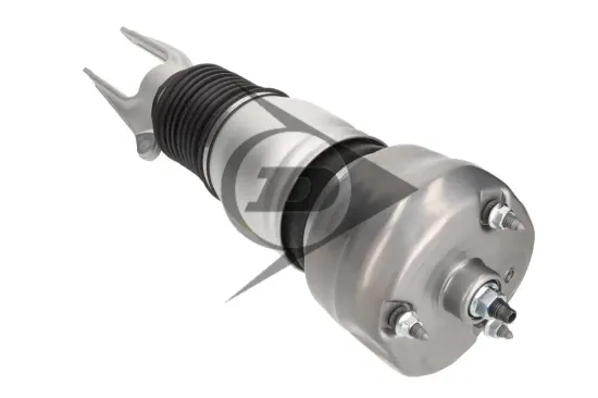 Luftfederbein Vorderachse rechts Dunlop Airsuspension 71089 Bild Luftfederbein Vorderachse rechts Dunlop Airsuspension 71089