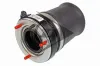 Luftfeder, Fahrwerk Vorderachse links Dunlop Airsuspension 71094 Bild Luftfeder, Fahrwerk Vorderachse links Dunlop Airsuspension 71094