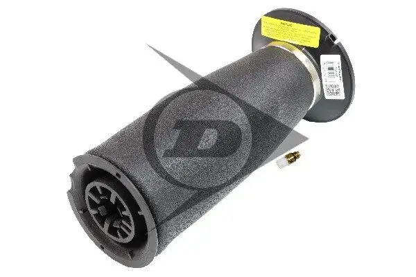 Luftfeder, Fahrwerk Hinterachse links Hinterachse rechts Dunlop Airsuspension 71100