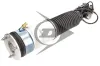 Luftfederbein Hinterachse links Dunlop Airsuspension 71105 Bild Luftfederbein Hinterachse links Dunlop Airsuspension 71105
