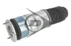 Luftfeder, Fahrwerk Hinterachse links Hinterachse rechts Dunlop Airsuspension 71107 Bild Luftfeder, Fahrwerk Hinterachse links Hinterachse rechts Dunlop Airsuspension 71107