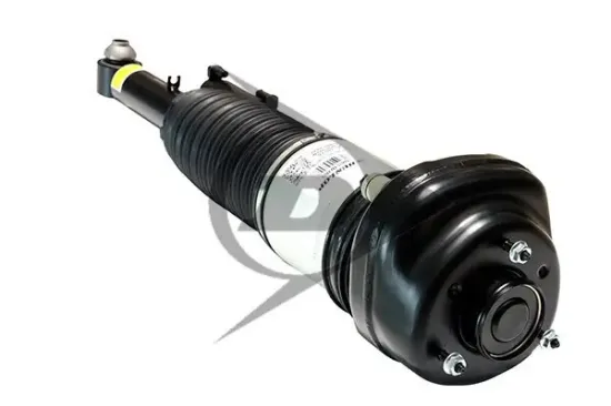 Luftfederbein Hinterachse rechts Dunlop Airsuspension 71111 Bild Luftfederbein Hinterachse rechts Dunlop Airsuspension 71111