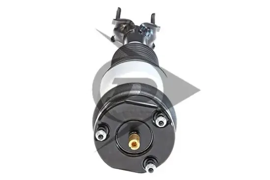 Luftfederbein Vorderachse links Dunlop Airsuspension 71119 Bild Luftfederbein Vorderachse links Dunlop Airsuspension 71119