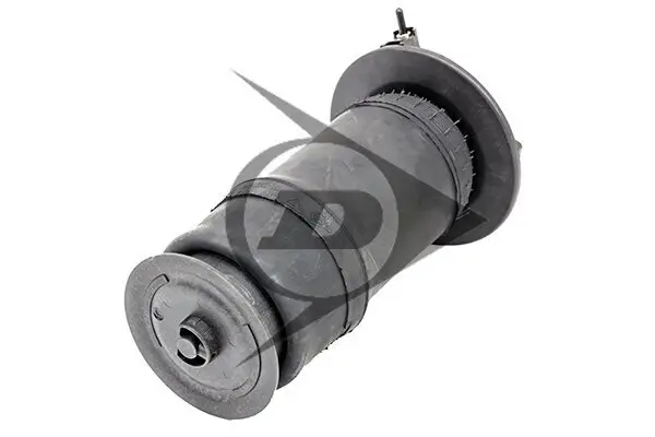 Luftfeder, Fahrwerk Hinterachse links Hinterachse rechts Dunlop Airsuspension 71122