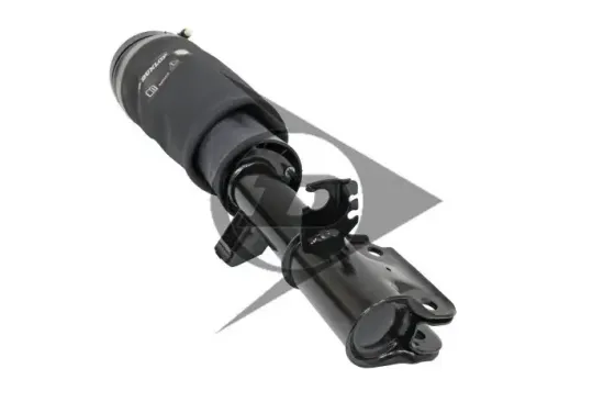 Luftfederbein Vorderachse rechts Dunlop Airsuspension 71129 Bild Luftfederbein Vorderachse rechts Dunlop Airsuspension 71129