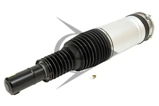 Luftfederbein Vorderachse rechts Dunlop Airsuspension 71133 Bild Luftfederbein Vorderachse rechts Dunlop Airsuspension 71133