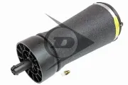 Luftfeder, Fahrwerk Hinterachse links Hinterachse rechts Dunlop Airsuspension 71136