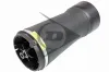 Luftfeder, Fahrwerk Hinterachse links Hinterachse rechts Dunlop Airsuspension 71136 Bild Luftfeder, Fahrwerk Hinterachse links Hinterachse rechts Dunlop Airsuspension 71136