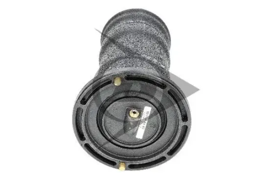 Luftfeder, Fahrwerk Hinterachse links Hinterachse rechts Dunlop Airsuspension 71143 Bild Luftfeder, Fahrwerk Hinterachse links Hinterachse rechts Dunlop Airsuspension 71143