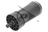 Luftfeder, Fahrwerk Hinterachse rechts Dunlop Airsuspension 71155 Bild Luftfeder, Fahrwerk Hinterachse rechts Dunlop Airsuspension 71155
