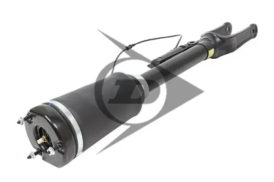 Luftfederbein Vorderachse links Vorderachse rechts Dunlop Airsuspension 71161 Bild Luftfederbein Vorderachse links Vorderachse rechts Dunlop Airsuspension 71161