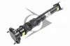 Luftfederbein Hinterachse links Hinterachse rechts Dunlop Airsuspension 71166 Bild Luftfederbein Hinterachse links Hinterachse rechts Dunlop Airsuspension 71166