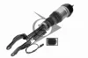 Luftfeder, Fahrwerk Vorderachse links Dunlop Airsuspension 71170