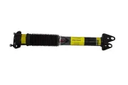 Stoßdämpfer Dunlop Airsuspension 71172