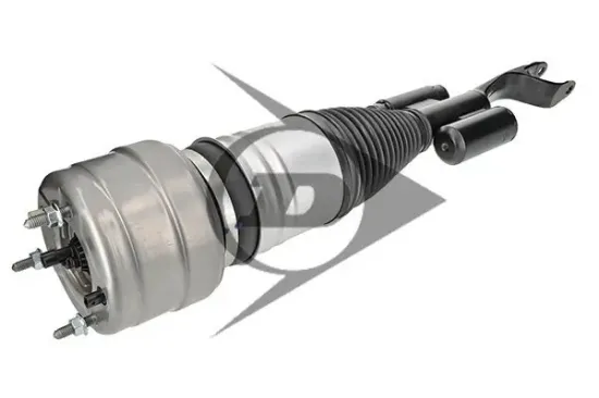 Luftfederbein Vorderachse links Dunlop Airsuspension 71174 Bild Luftfederbein Vorderachse links Dunlop Airsuspension 71174