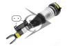 Luftfederbein Vorderachse rechts Dunlop Airsuspension 71180 Bild Luftfederbein Vorderachse rechts Dunlop Airsuspension 71180