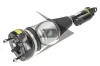 Luftfederbein Vorderachse rechts Dunlop Airsuspension 71180 Bild Luftfederbein Vorderachse rechts Dunlop Airsuspension 71180