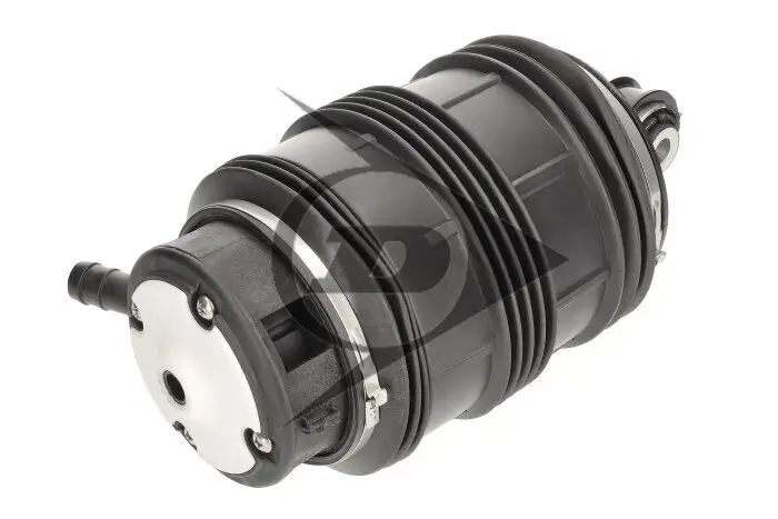 Luftfeder, Fahrwerk Hinterachse links Hinterachse rechts Dunlop Airsuspension 71183