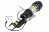 Luftfederbein Vorderachse rechts Dunlop Airsuspension 71188