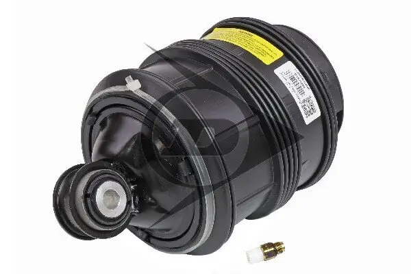 Luftfeder, Fahrwerk Hinterachse links Hinterachse rechts Dunlop Airsuspension 71189