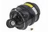Luftfeder, Fahrwerk Hinterachse links Hinterachse rechts Dunlop Airsuspension 71189