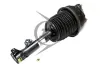 Luftfederbein Vorderachse links Dunlop Airsuspension 71192 Bild Luftfederbein Vorderachse links Dunlop Airsuspension 71192