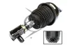 Luftfederbein Vorderachse links Dunlop Airsuspension 71194 Bild Luftfederbein Vorderachse links Dunlop Airsuspension 71194