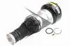Luftfederbein Hinterachse links Dunlop Airsuspension 71209 Bild Luftfederbein Hinterachse links Dunlop Airsuspension 71209