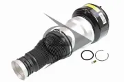 Luftfederbein Hinterachse links Dunlop Airsuspension 71209