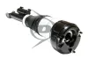 Luftfederbein Vorderachse links Dunlop Airsuspension 71219 Bild Luftfederbein Vorderachse links Dunlop Airsuspension 71219