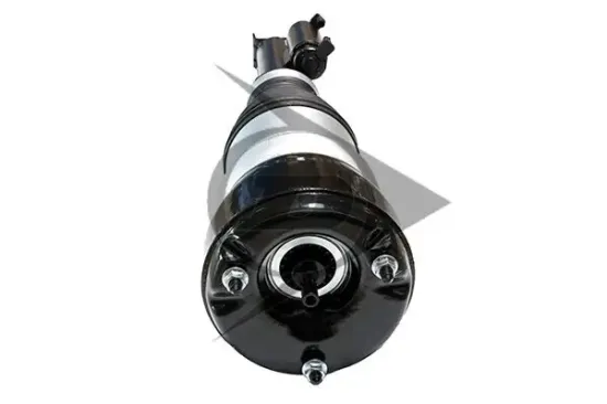 Luftfederbein Vorderachse links Dunlop Airsuspension 71219 Bild Luftfederbein Vorderachse links Dunlop Airsuspension 71219