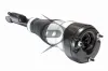 Luftfederbein Vorderachse rechts Dunlop Airsuspension 71220 Bild Luftfederbein Vorderachse rechts Dunlop Airsuspension 71220