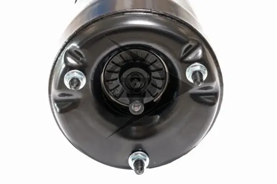 Luftfederbein Vorderachse rechts Dunlop Airsuspension 71220 Bild Luftfederbein Vorderachse rechts Dunlop Airsuspension 71220