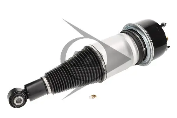 Luftfederbein Hinterachse links Hinterachse rechts Dunlop Airsuspension 71442